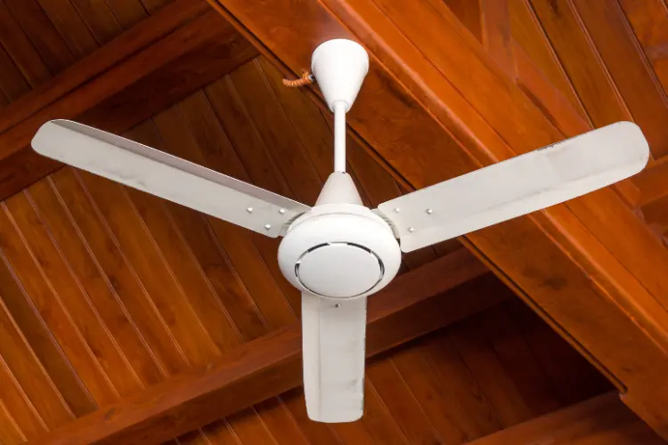 Ceiling-Fans-CBR-Home-Remodeling-Sarasota-Florida